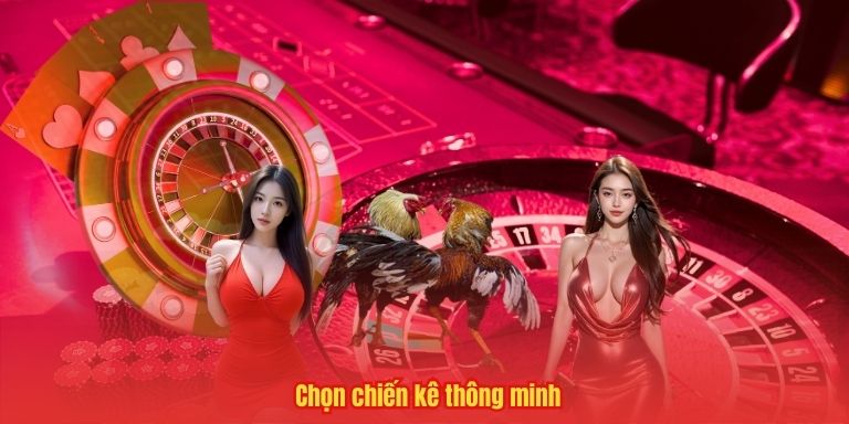 Đá Gà Cựa Sắt – Trò Chơi "Làm Mưa Làm Gió" Ở Sảnh Cược 33WIN 4 Chọn chiến kê thông minh