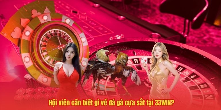 Đá Gà Cựa Sắt – Trò Chơi "Làm Mưa Làm Gió" Ở Sảnh Cược 33WIN 2 Hội viên cần biết gì về đá gà cựa sắt tại 33WIN?