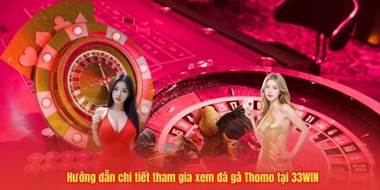 Đá gà Thomo 33WIN – Sôi động từng phút giây 3 Hướng dẫn chi tiết tham gia xem đá gà Thomo tại 33WIN