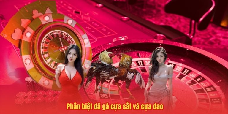 Đá Gà Cựa Sắt – Trò Chơi "Làm Mưa Làm Gió" Ở Sảnh Cược 33WIN 3 Phân biệt đá gà cựa sắt và cựa dao