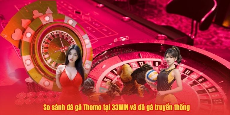 Đá gà Thomo 33WIN – Sôi động từng phút giây 4 So sánh đá gà Thomo tại 33WIN và đá gà truyền thống